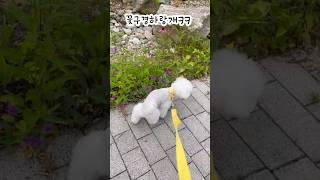 꽃밭에 무슨짓을…