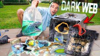 Ordering ABANDONED Fish SAFE Off the DARK WEB... (Finally Opened It)