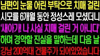 실화사연  남편의 눈물 어린 부탁으로 치매 걸린 시모를 모셨더니 상상 할 수 없는 일이 일어나는데    라디오사연  썰사연 사이다사연 감동사연