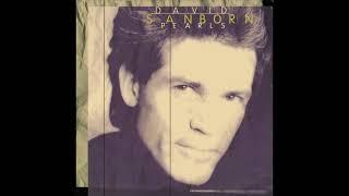 David Sanborn - This Masquerade (Elektra Records 1995)