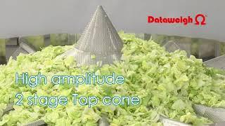 Salad/Salat, Multihead Weigher/Mehrkopfwaage OMEGA ADW-O-1214S, Yamato Scale