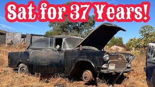 ABANDONED 1955 Chevrolet RESCUED After 37 Years