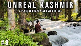 Hidden Gems of Kashmir | A Place you have Never seen Before | Brenwar Budgam