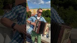 Играю у Кремля Шамана #баянист #гармонист #каверхит