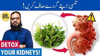 Apne Gurdon Ko Saaf Karen! Natural Kidney Cleanse with Holy Basil/Tulsi - Urdu/Hindi - Dr. Ibrahim