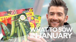 What to Sow in January | What to Sow in Winter | What to Sow Now!