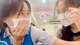 一天只睡两个小时? !揭秘我的高效期末周! 264 hours before exam: a study vlog  中学读书vlog 