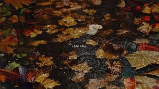 Leaf fall by VRTEI & SAGI