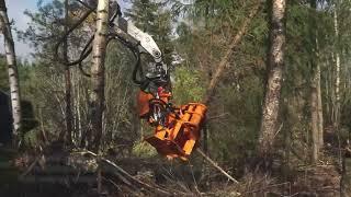 Efficient wildfire prevention with compact forestry machines