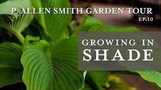 Growing in Shade |  Garden Tour of Prather House: P. Allen Smith (2019)