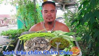 Sách Trâu Luộc.Chấm Chẳm Chéo | Biển Nguyễn ngọc NB.