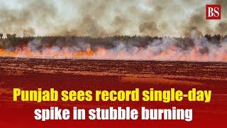 Punjab sees record single-day spike in stubble burning | Delhi air pollution | Delhi AQI | Farm fire