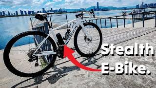 EVIGORS - Convert any bike to an e-bike... 250 Watts of POWAH BABY!