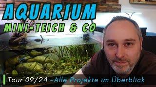 Aquarium, Mini-Teich & Co. Tour 09/24 -Alle Projekte im Überblick #Aquaristik #Tour