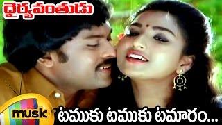 Chiranjeevi Hits | Tamuku Tamuku Video Song | Dhairyavanthudu Movie | Sitara | Mango Music