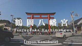 4K Japan : Kamakura Walking Tour - Tsurugaoka Hachimangu Shrine | 鎌倉散策 - 鶴岡八幡宮 | 가마쿠라 쓰루오카 하치만구