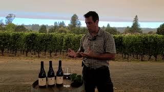 Small Vines 2018 Single Vineyard Pinot Noirs with Vigneron Paul Sloan