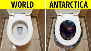 Strange Things You’ll Never Believe Are Banned in Antarctica