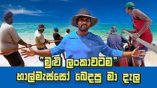 Amazing Seine Net Fishing In Sea | Traditional Fishing Method In Sri Lanka