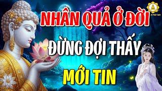 Nhân Quả Ở Đời, Đừng Để Nghiệp Đến Mới Tin - Nghe Để Biết Nhân Quả Nghiệp Báo