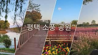 평택시 가을의 소풍정원과 핑크뮬리