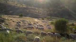 Ghost Village in Mariovo, Macedonia - Trip Sideways - travel video