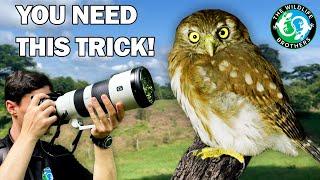 Learn this Simple Trick to PREDICT Bird Biology! | Birding in Ecuador