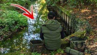 Small Streams & Rivers - FUN FISHING!