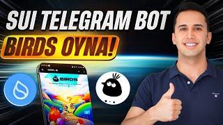 Sui Telegram Oyunu - BİRDS Nasıl Oynanır ! AİRDROP