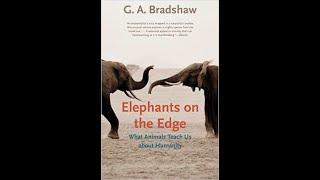 What Animals Teach About Humanity – Gay Bradshaw and Host Dr. Zohara Hieronimus