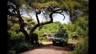 Experience Lake Manyara national park