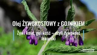 Olej ŻYWOKOSTOWY