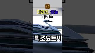 디자인,성능 다잡은 백조요트!!