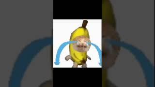 Banana Cat - Meme #viral #viralshort #shortvideo #meme #shorts #shortsvideo #short #viralshorts