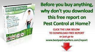 TheTechMag - Top 5 Ultrasonic Pest Repellers 2017 | Live A Pest Free Life! - TheTechMag