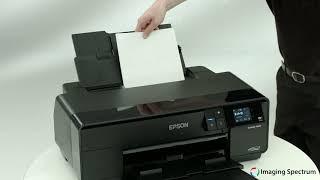 Epson SurColor P600 from Imaging Spectrum