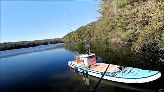 Spinnerbait Largemouth at Lake Arthur - Paddle Board Fishing for Bass