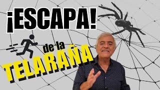 ¡ESCAPA! de la TELARAÑA