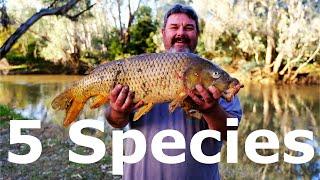 A PROPER Freshwater Fishing Adventure With Robbie Alexander