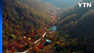 [부산] '한국관광 100선'에 부산지역 명소 8곳 선정 / YTN