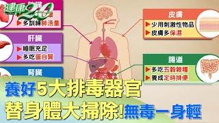 替身體大掃除！ 養好5大排毒器官 無毒一身輕 健康2.0