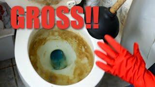 EPIC Toilet Cleaning!! AWFUL Rust, DISGUSTING Smell and Stains GONE!!!