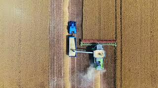 Harvest Time | Drone 4K