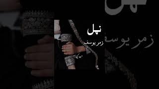 Nimra Ahmed Novel Namal | Faris & Zumar | #namal #novelsbestlines