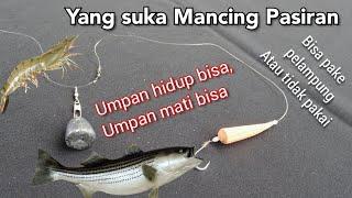 Rangkaian Fish Finder Rig Untuk Surf Fishing/Pasiran