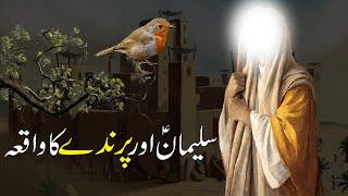 Hazrat Suleman as Aur Aik Parinday Ka Waqia Qissa | Dastani Tv