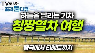 무려 해발 5,000m 중국 대륙 횡단 열차 타고 티베트까지. 세계에서 가장 높은 철도! 칭짱열차 기행│기차 여행│세계테마기행│#골라듄다큐