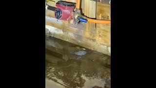 Water damage from leaking pipe in Toronto basement #waterdamage #restorationcompany #toronto #flood