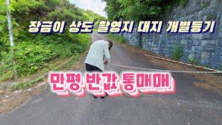 금산땅 올계획관리 모든공사완료 대지 반값 통매매