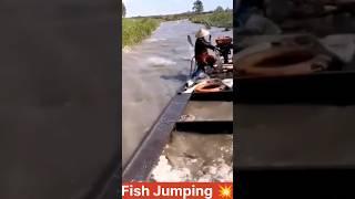 Fish Jumping In Boat  #youtubeshorts #shortsvideo #shorts